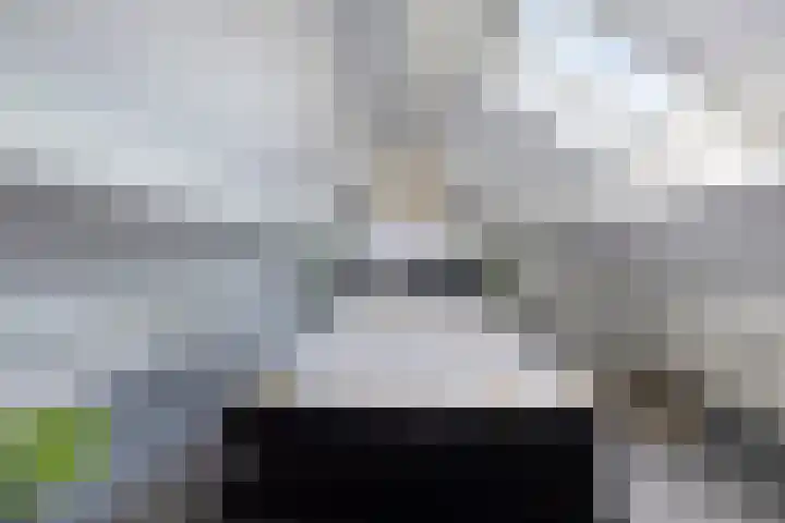 van Speijklaan 7 Helmond thumbnail 29