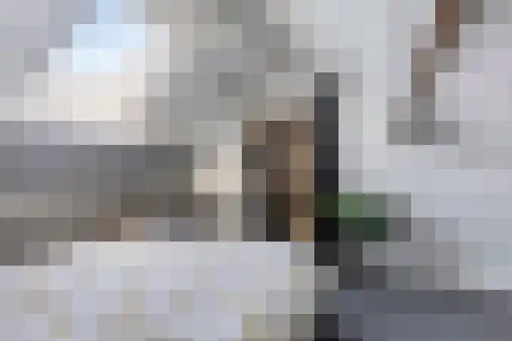 van Speijklaan 7 Helmond thumbnail 30