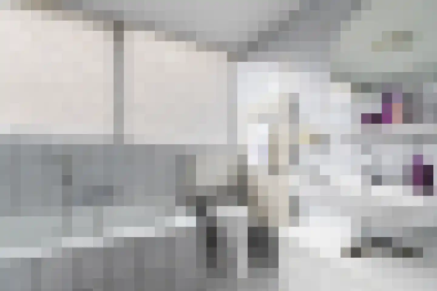 Van Speijkstraat 1 Papendrecht thumbnail 22