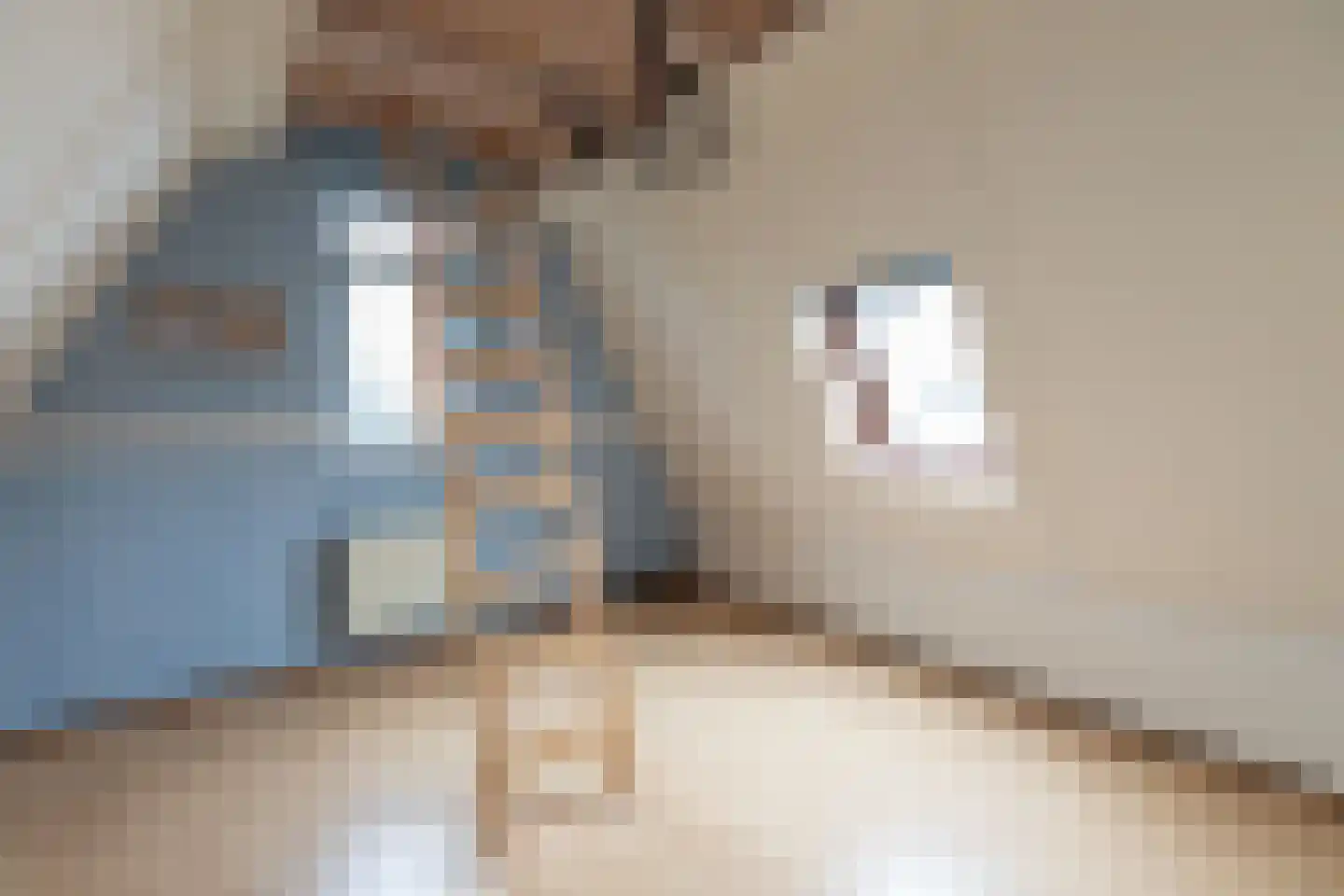 Van Speijkstraat 1 Papendrecht thumbnail 24