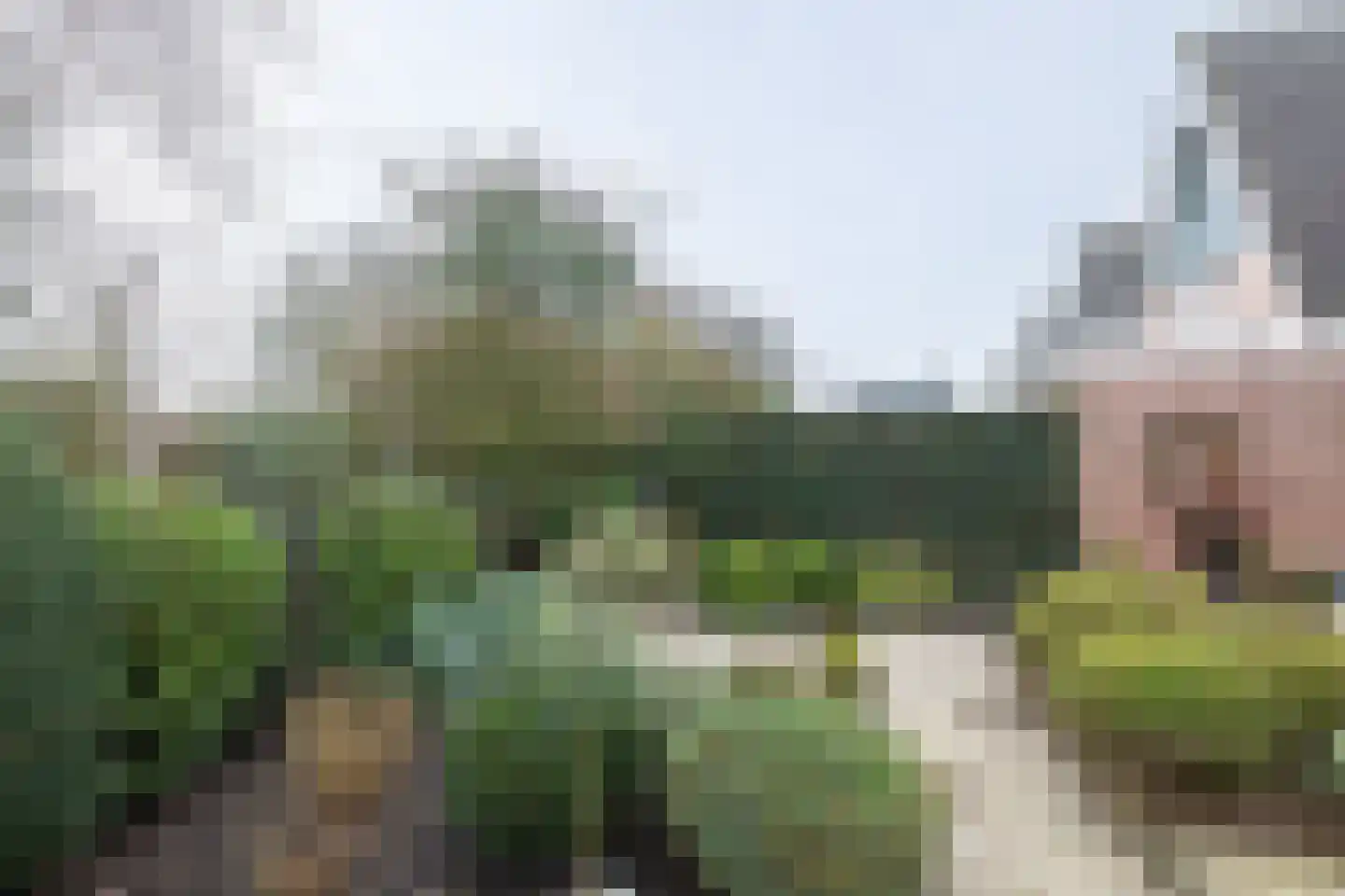 Van Speijkstraat 1 Papendrecht thumbnail 30
