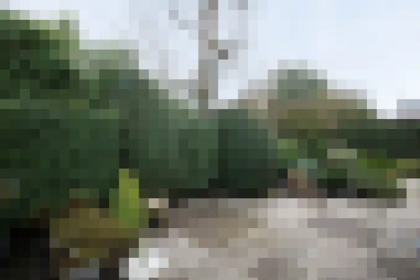 Van Speijkstraat 1 Papendrecht thumbnail 33
