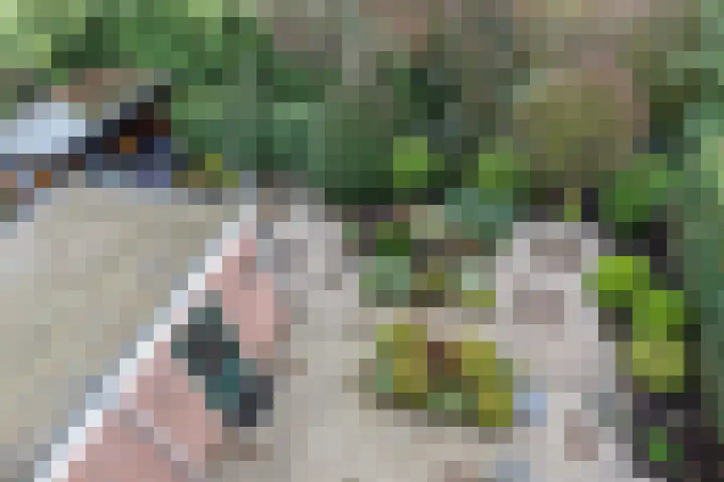 Van Speijkstraat 1 Papendrecht thumbnail 4
