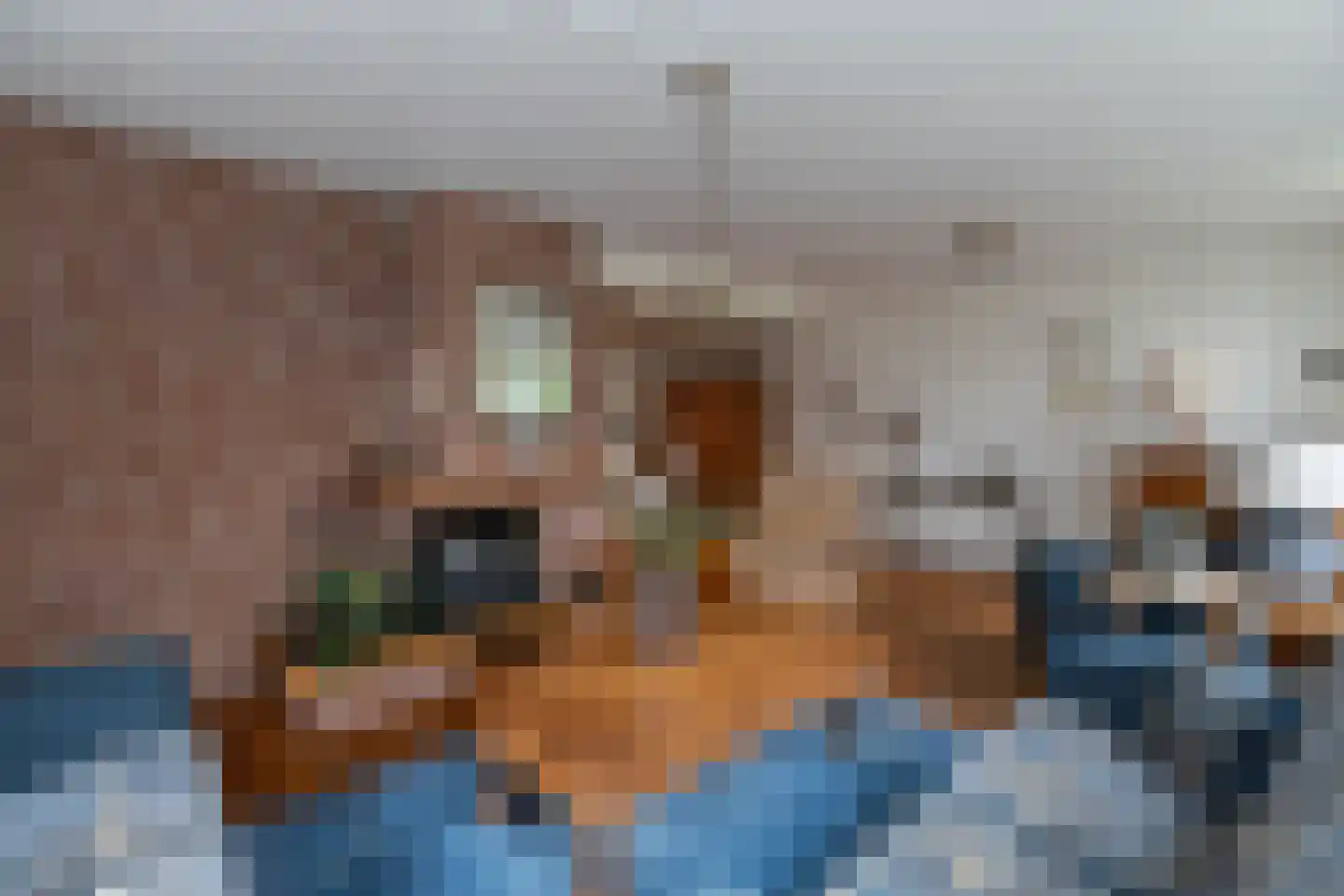 Van Speijkstraat 1 Papendrecht thumbnail 9
