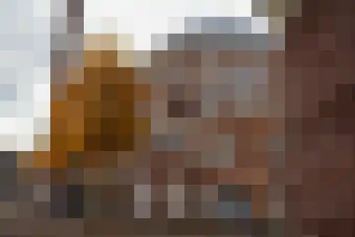 Van Speijkstraat 12 2 Amsterdam thumbnail 13