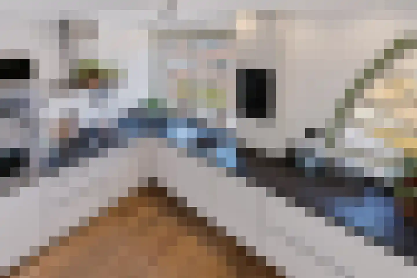 Van Speijkstraat 125 3 Amsterdam thumbnail 13