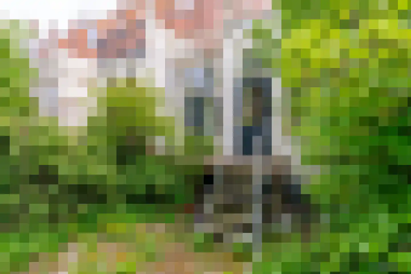 Van Speijkstraat 14 Utrecht thumbnail 15