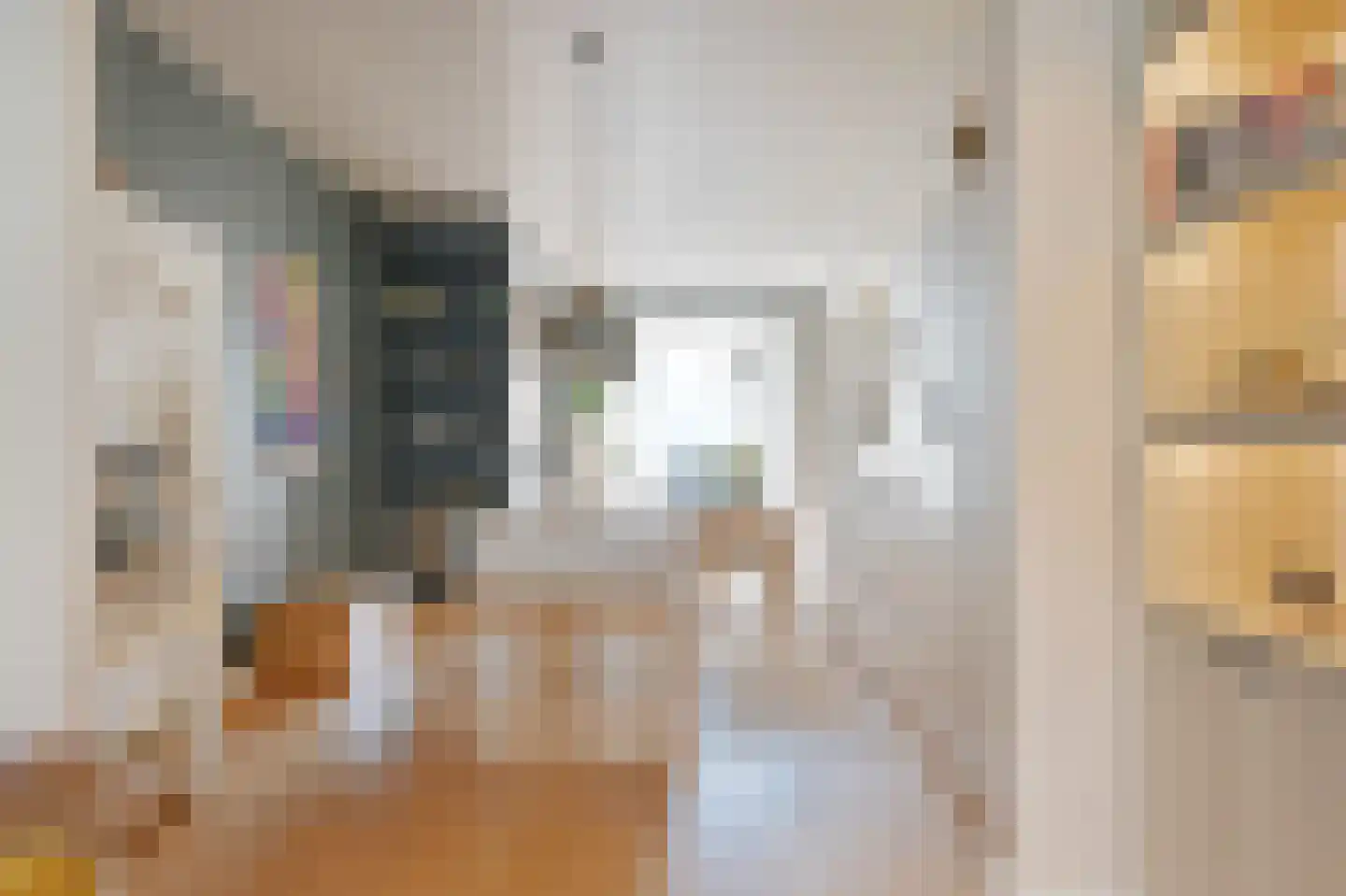 Van Speijkstraat 140 Den Haag thumbnail 9