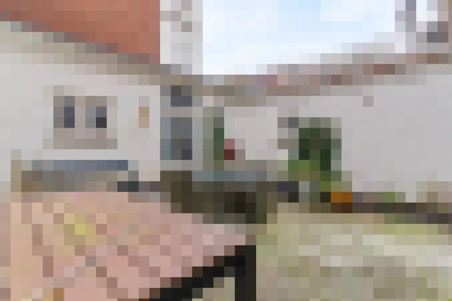 Van Speijkstraat 163 Den Haag thumbnail 19