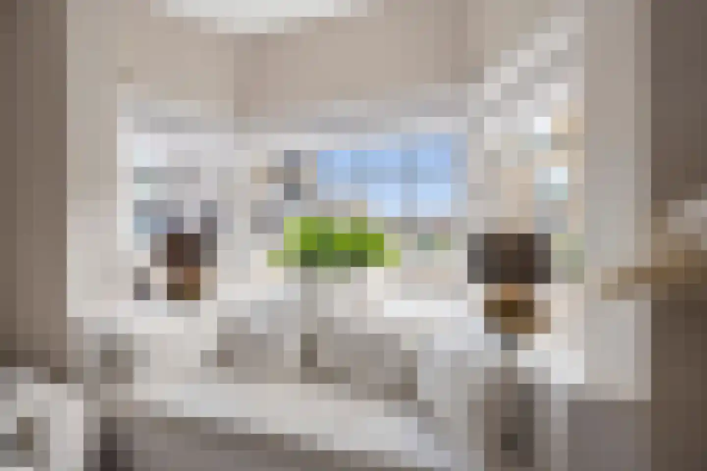 van Speijkstraat 170 Zandvoort thumbnail 7