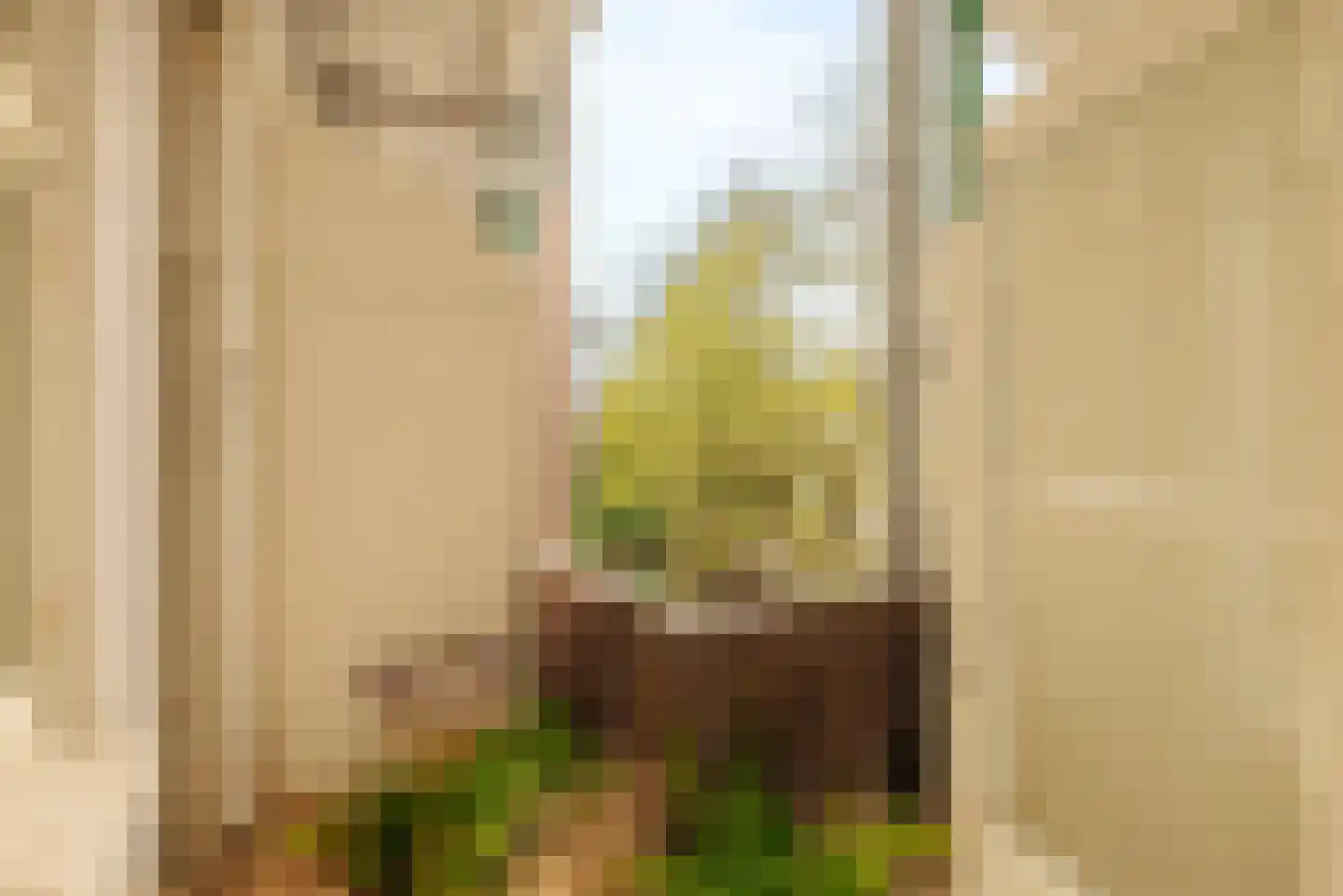 Van Speijkstraat 179 3 Amsterdam thumbnail 25