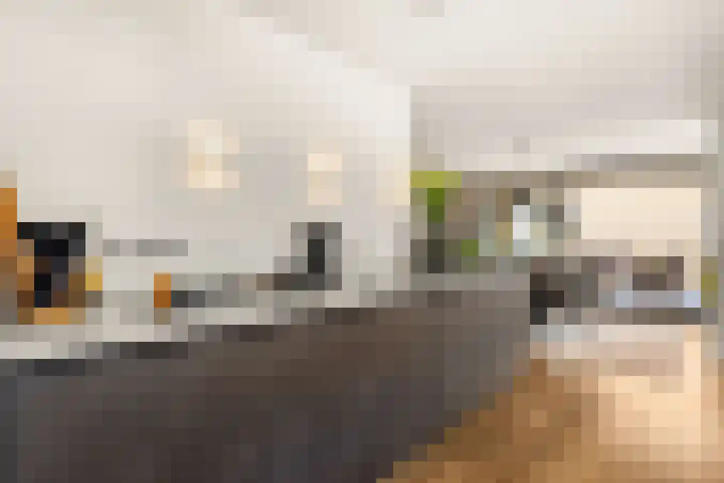 van Speijkstraat 187 Zandvoort thumbnail 14