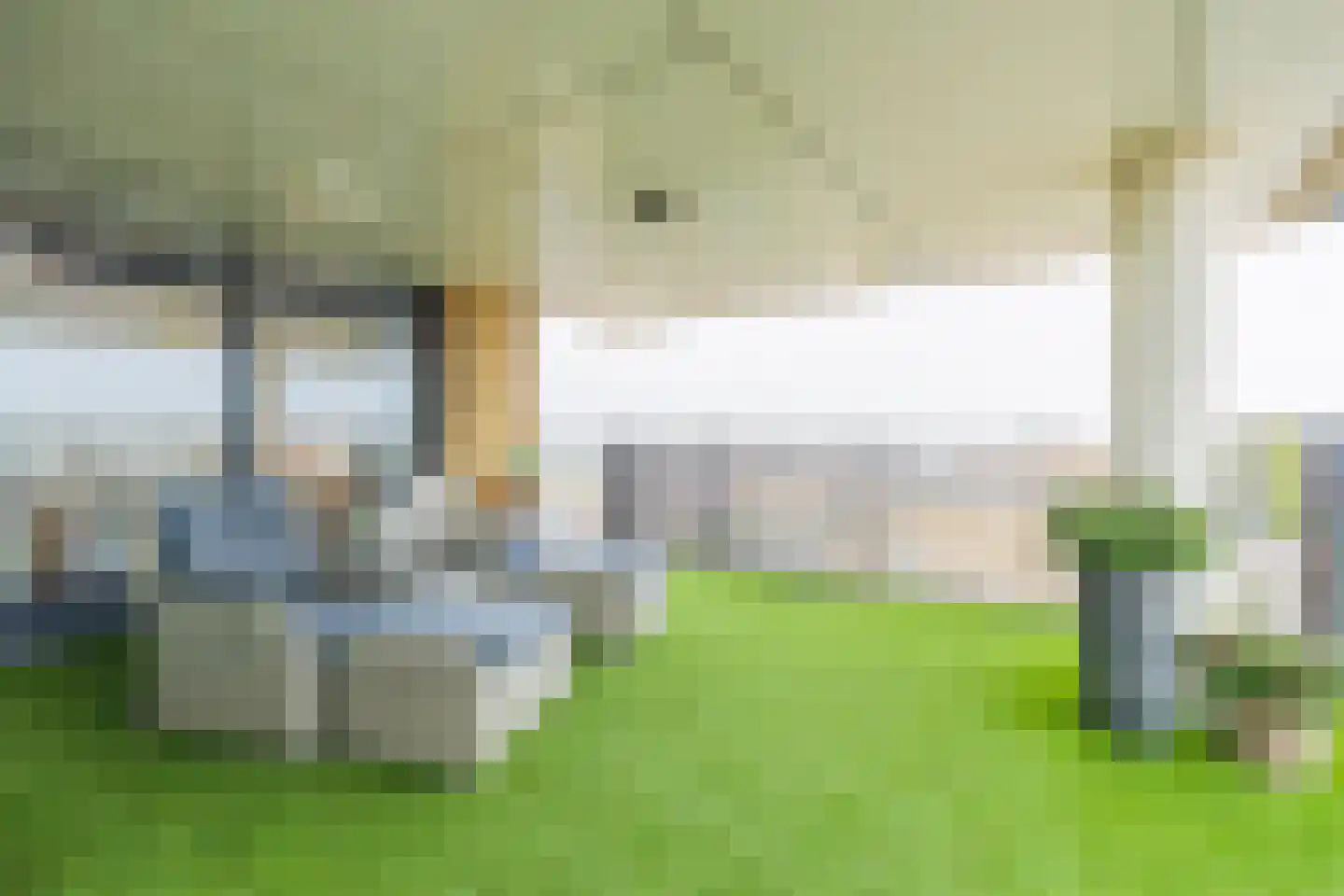 van Speijkstraat 193 Zandvoort thumbnail 20