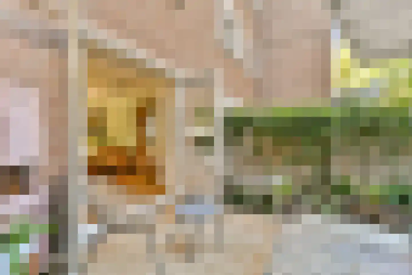 Van Speijkstraat 2 3 Amsterdam thumbnail 23