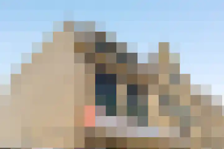 van Speijkstraat 2 B Noordwijk thumbnail 29
