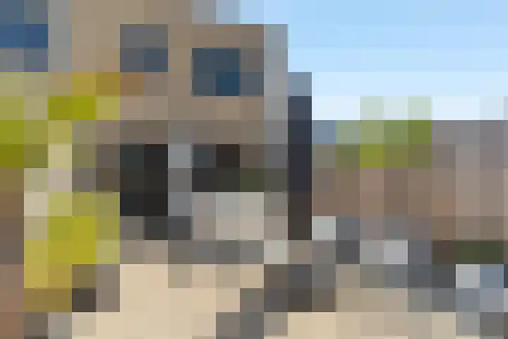 van Speijkstraat 2 B Noordwijk thumbnail 4