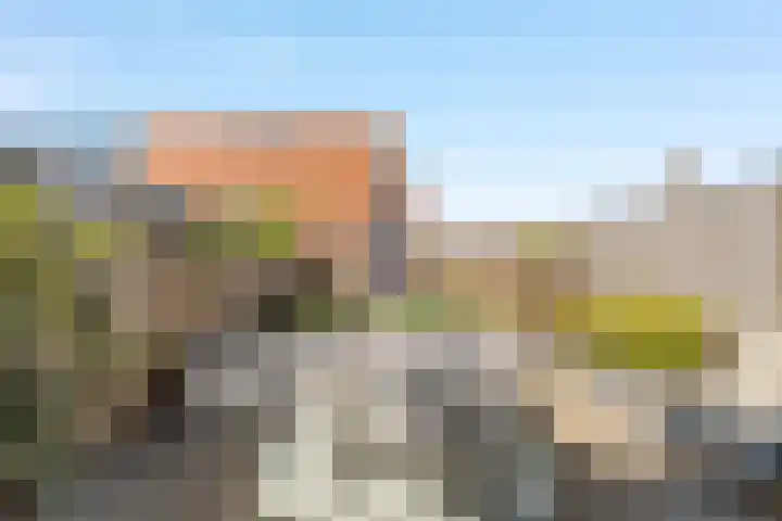 van Speijkstraat 2 B Noordwijk thumbnail 5