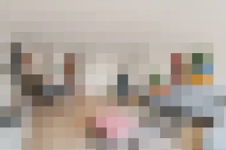 van Speijkstraat 2 B Noordwijk thumbnail 8