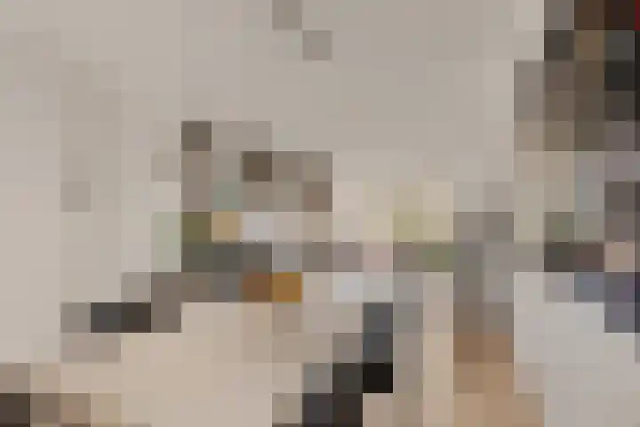 van Speijkstraat 2 B Noordwijk thumbnail 9