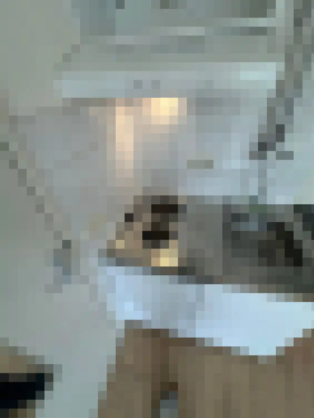Van Speijkstraat 2 Utrecht thumbnail 5
