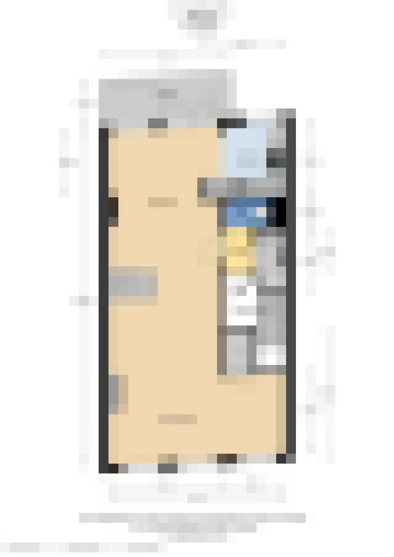 Van Speijkstraat 204 A Den Haag thumbnail 52