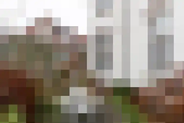 Van Speijkstraat 23 Utrecht thumbnail 18