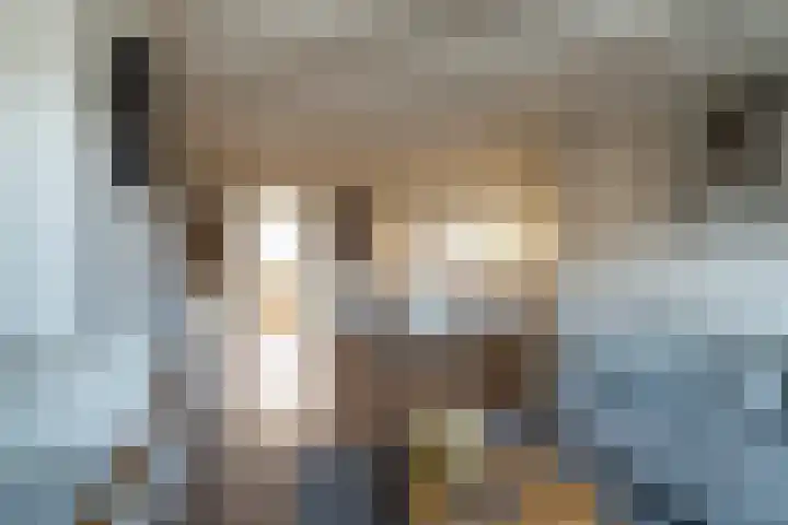 Van Speijkstraat 25 Drunen thumbnail 10