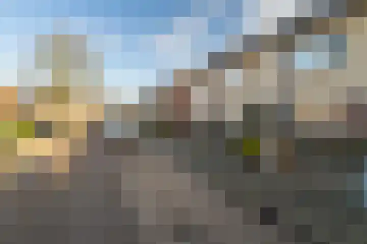 Van Speijkstraat 25 Drunen thumbnail 4