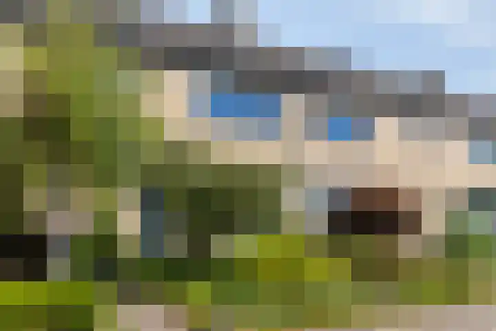 van Speijkstraat 27 Haaksbergen thumbnail 6