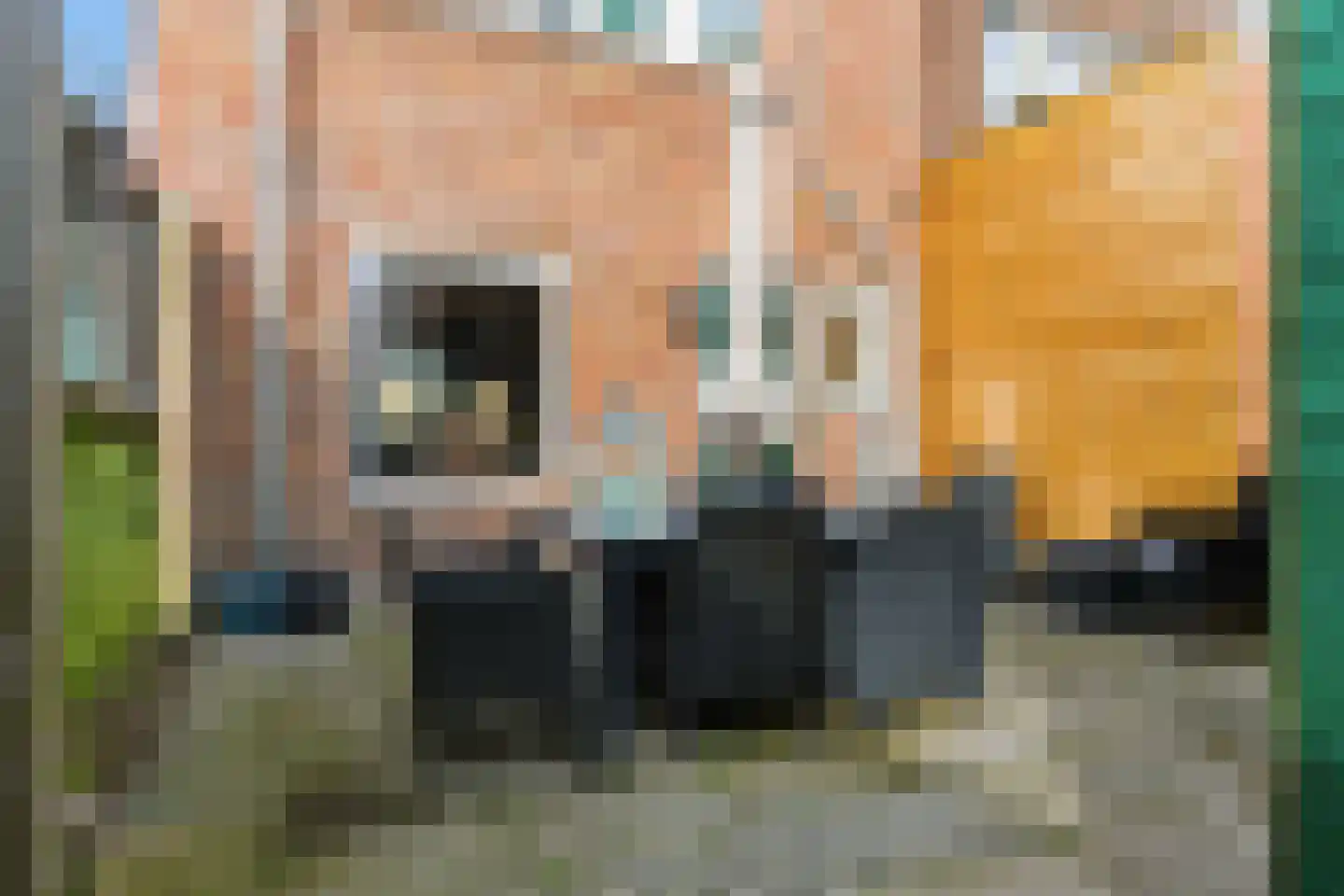 Van Speijkstraat 27 IJmuiden thumbnail 10