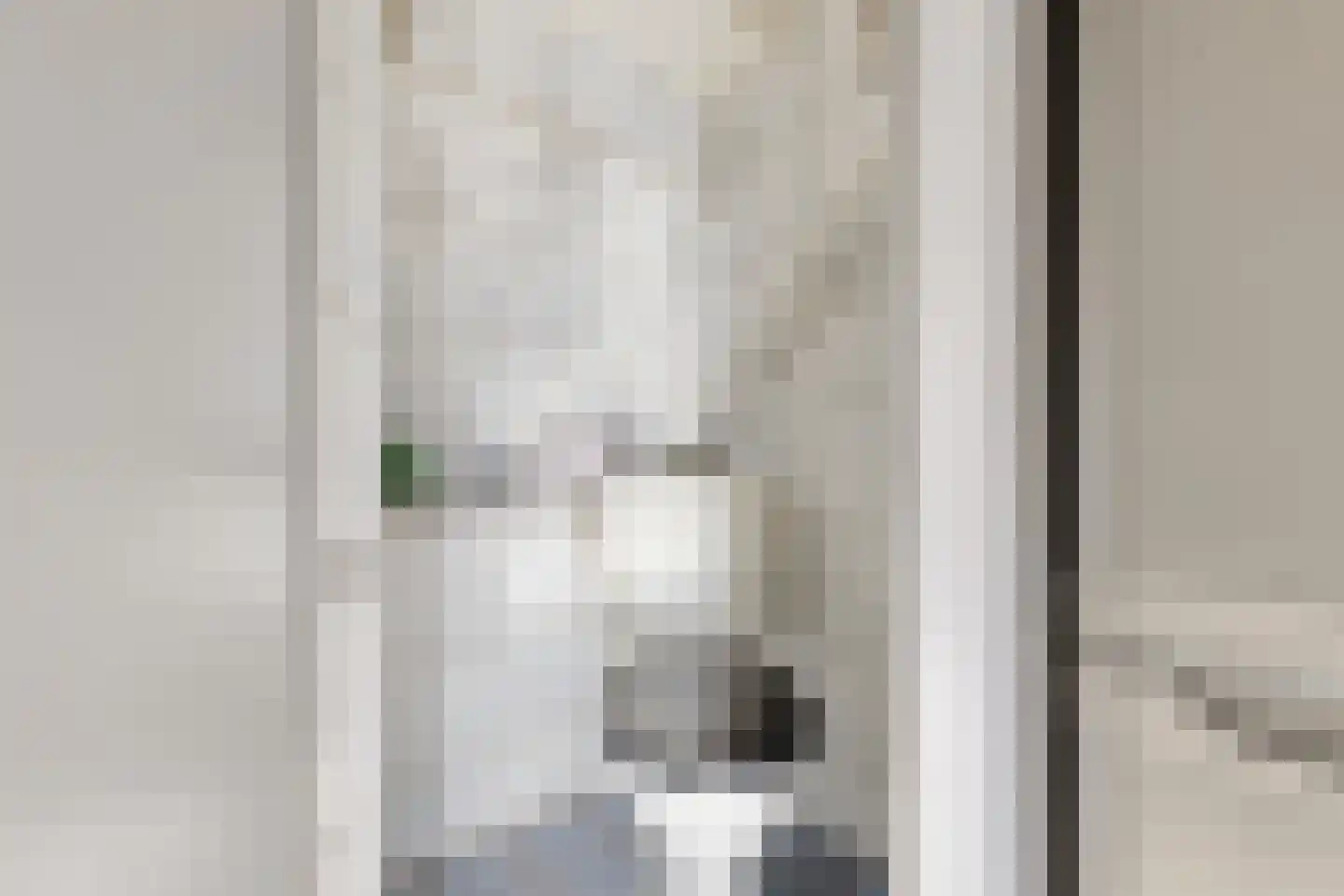 Van Speijkstraat 27 IJmuiden thumbnail 4