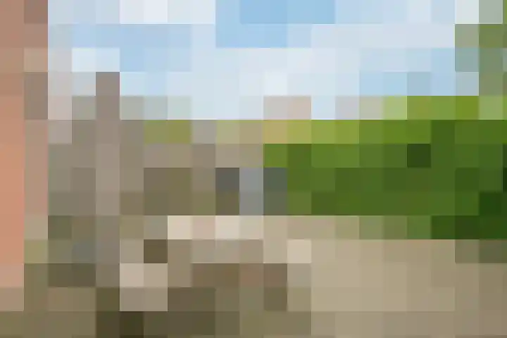 van Speijkstraat 3 Brunssum thumbnail 24