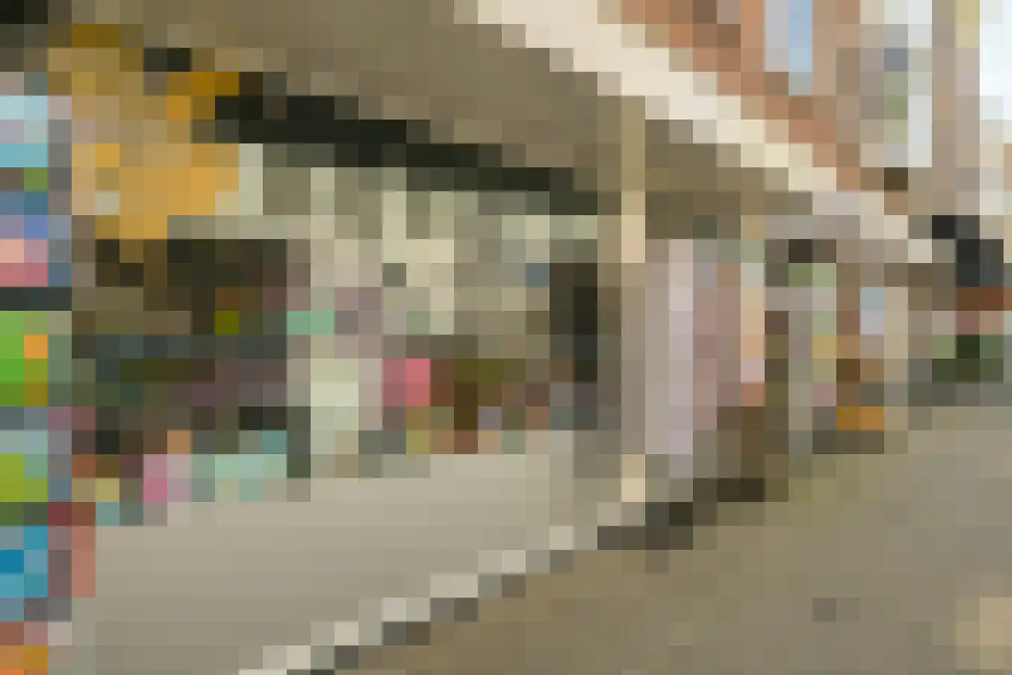 Van Speijkstraat 31 C Den Haag thumbnail 30
