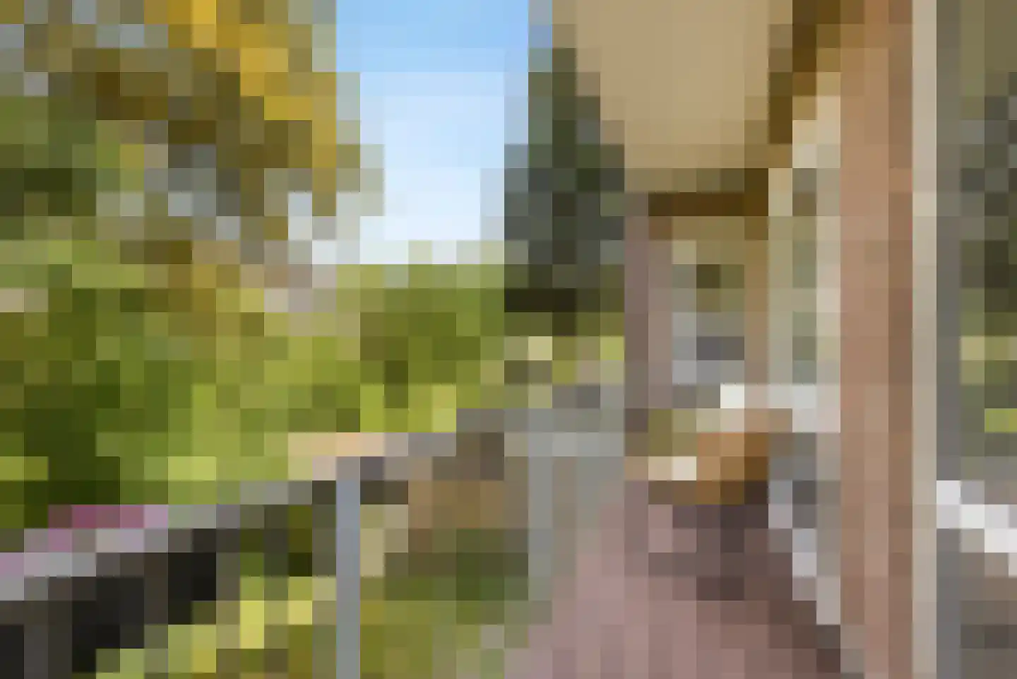 Van Speijkstraat 32 1 Amsterdam thumbnail 9