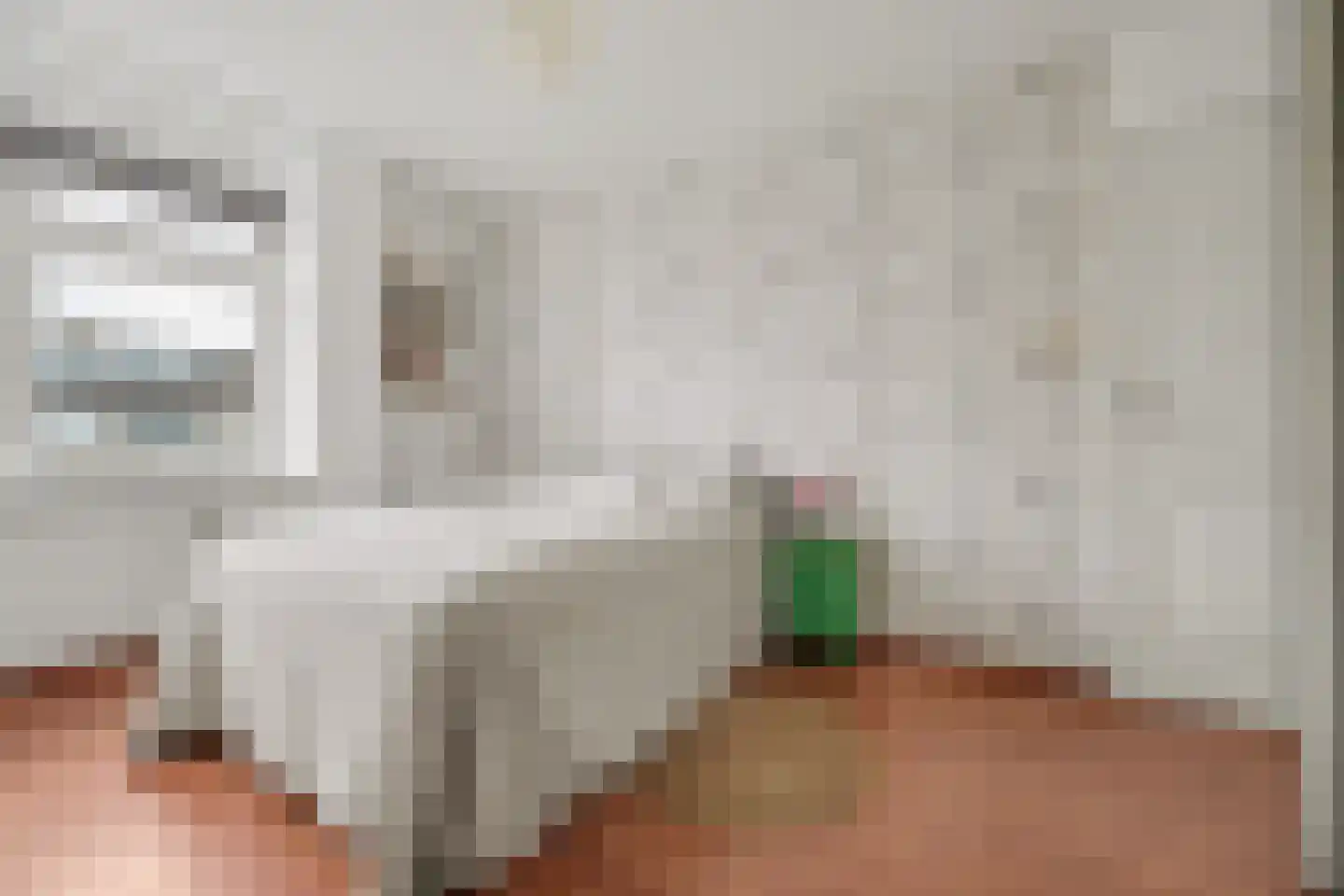 Van Speijkstraat 37 Drunen thumbnail 29