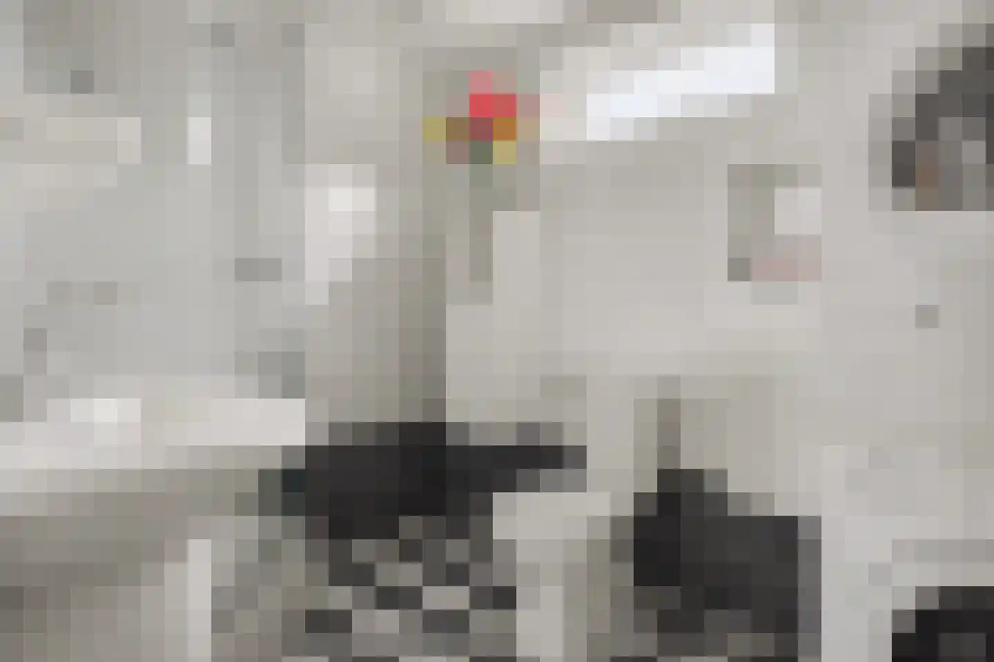 Van Speijkstraat 37 Drunen thumbnail 31