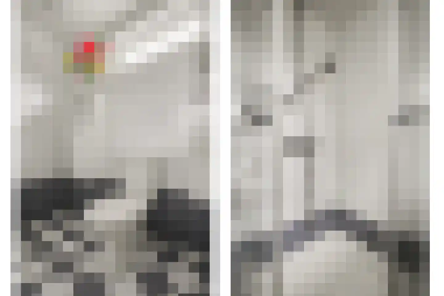 Van Speijkstraat 37 Drunen thumbnail 32