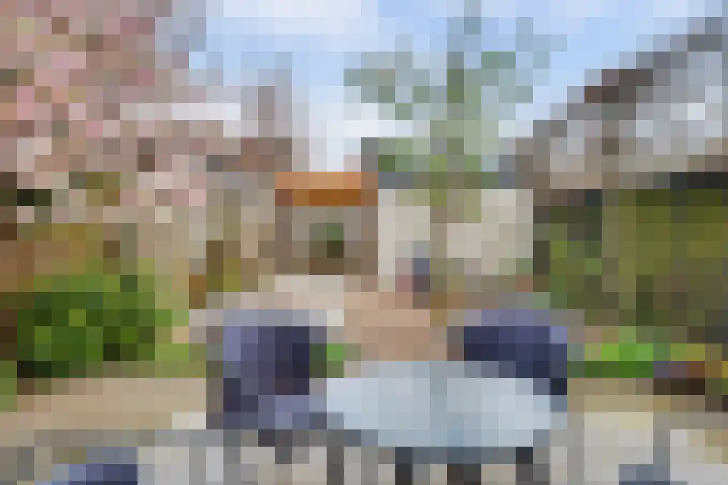 Van Speijkstraat 37 Drunen thumbnail 52