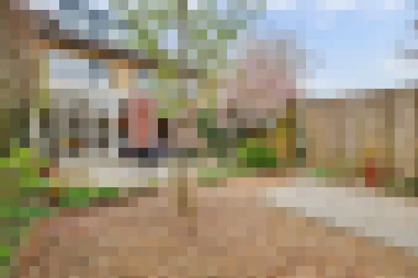 Van Speijkstraat 37 Drunen thumbnail 56