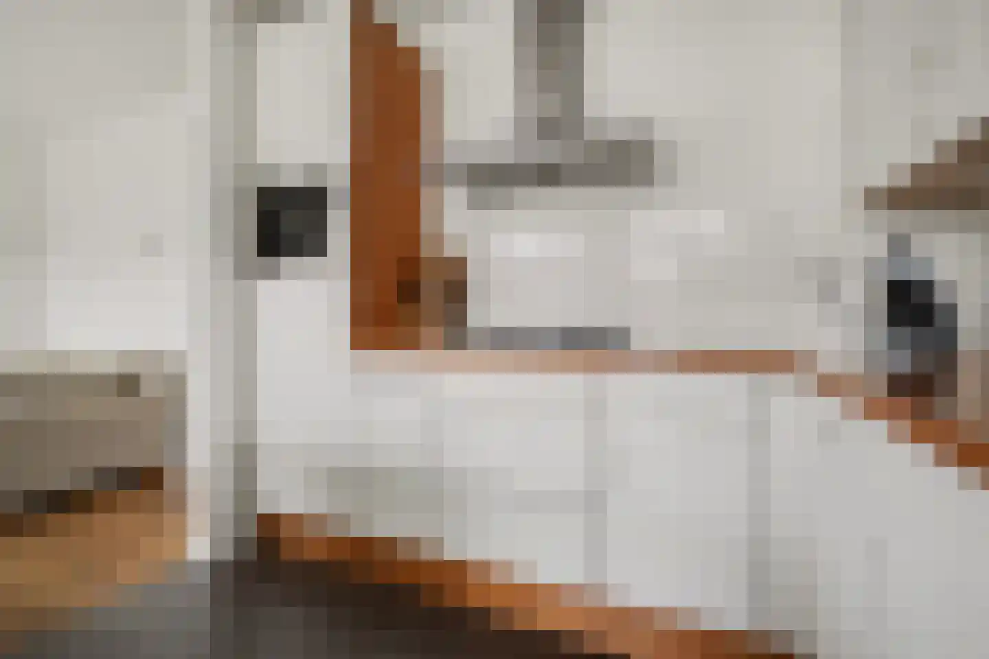 Van Speijkstraat 37 Drunen thumbnail 9