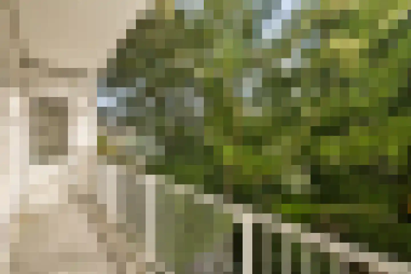 Van Speijkstraat 38 2 Amsterdam thumbnail 17