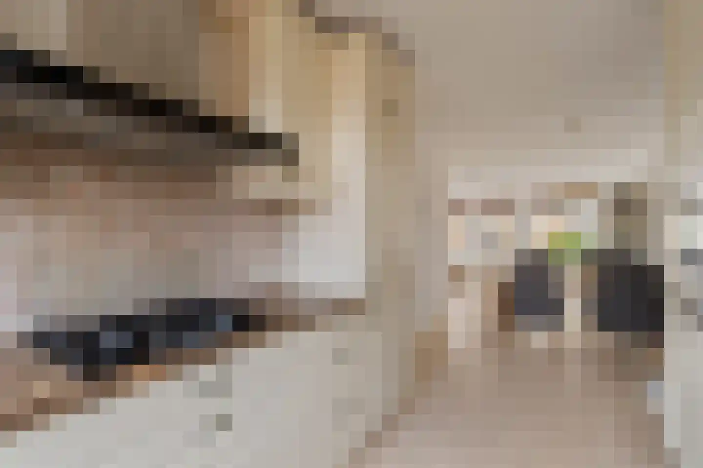 van Speijkstraat 4 A Noordwijk thumbnail 13