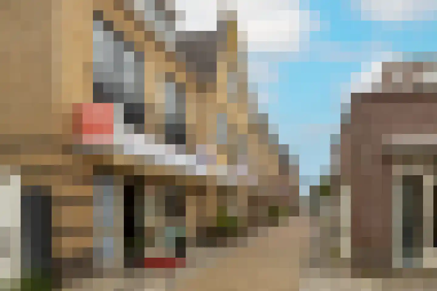 van Speijkstraat 4 A Noordwijk thumbnail 27