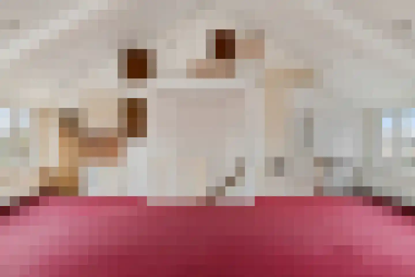 van Speijkstraat 4 Veghel thumbnail 24