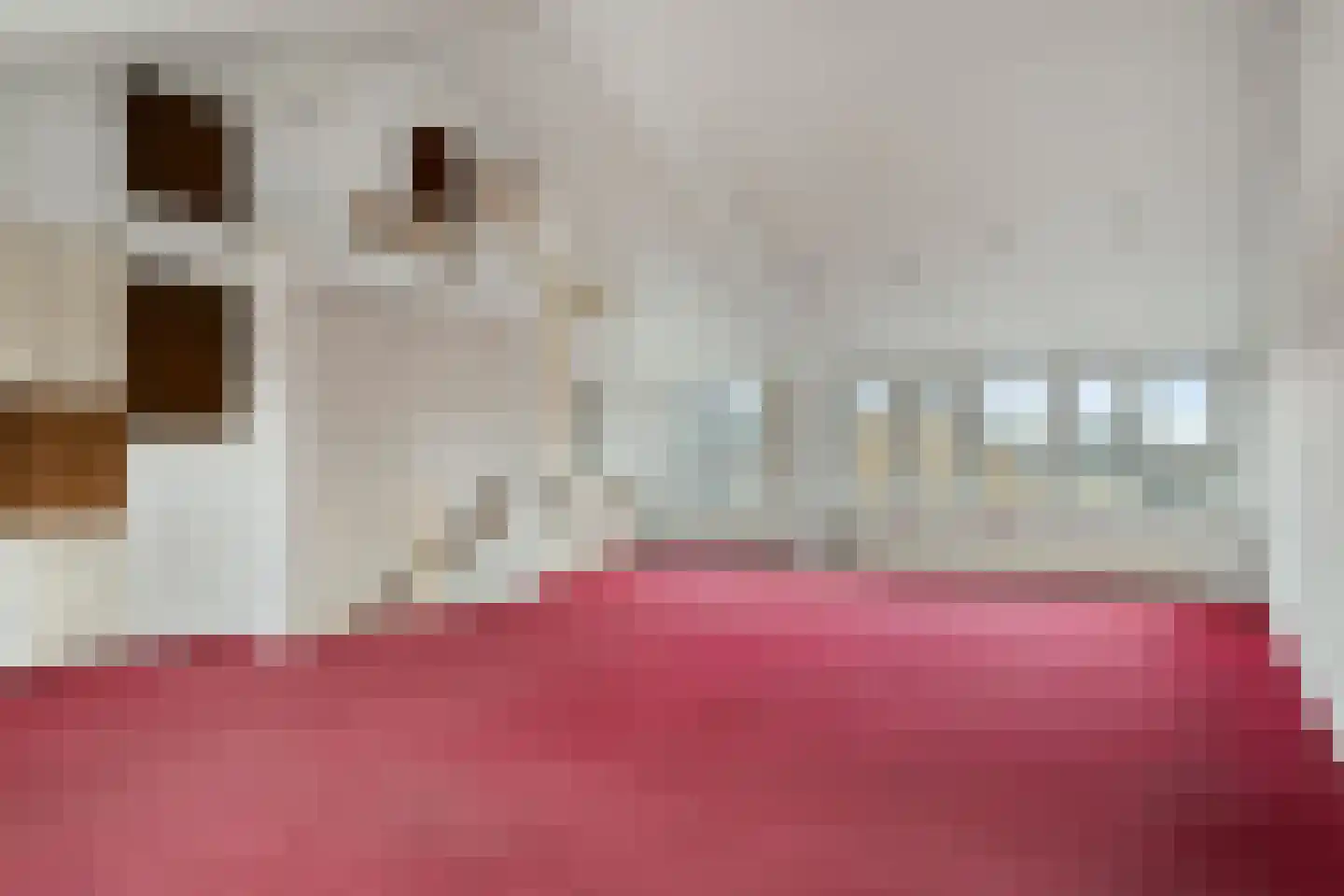 van Speijkstraat 4 Veghel thumbnail 26