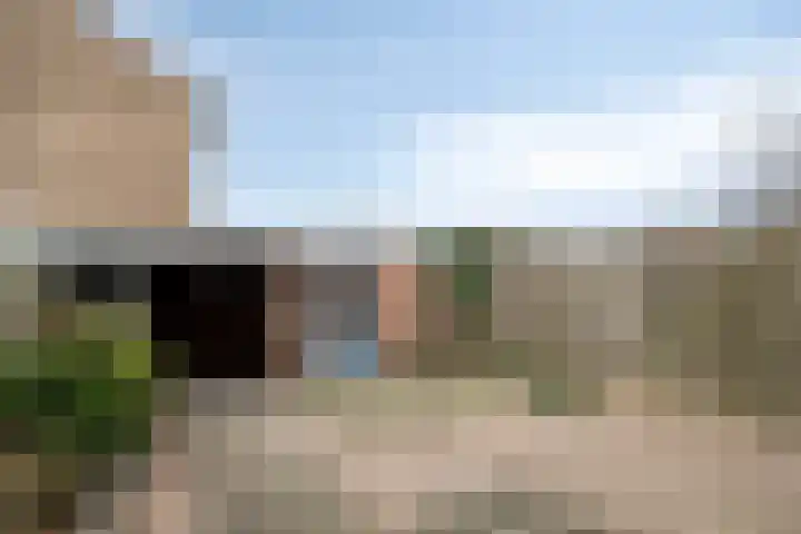 van Speijkstraat 4 Veghel thumbnail 29