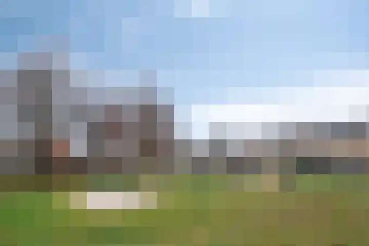 van Speijkstraat 4 Veghel thumbnail 34