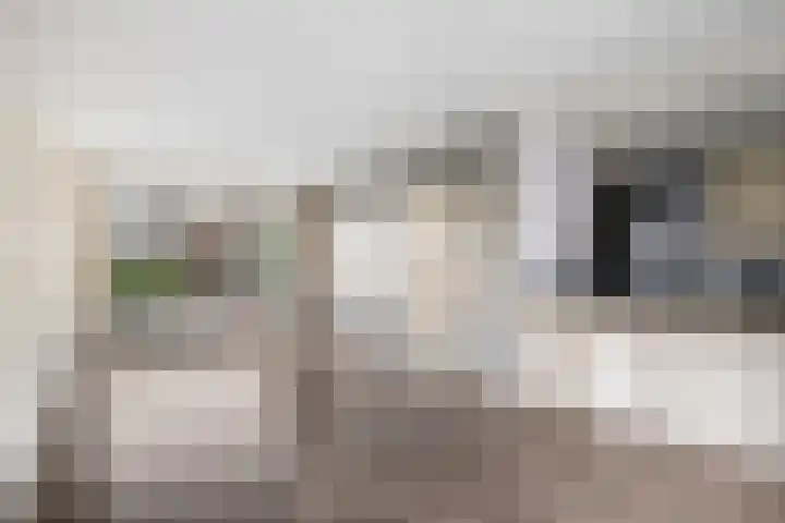 van Speijkstraat 4 Veghel thumbnail 4