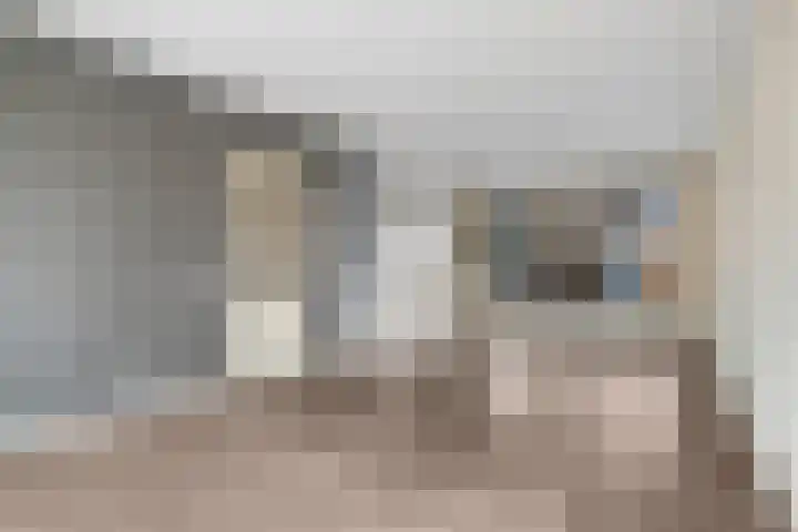 van Speijkstraat 4 Veghel thumbnail 5