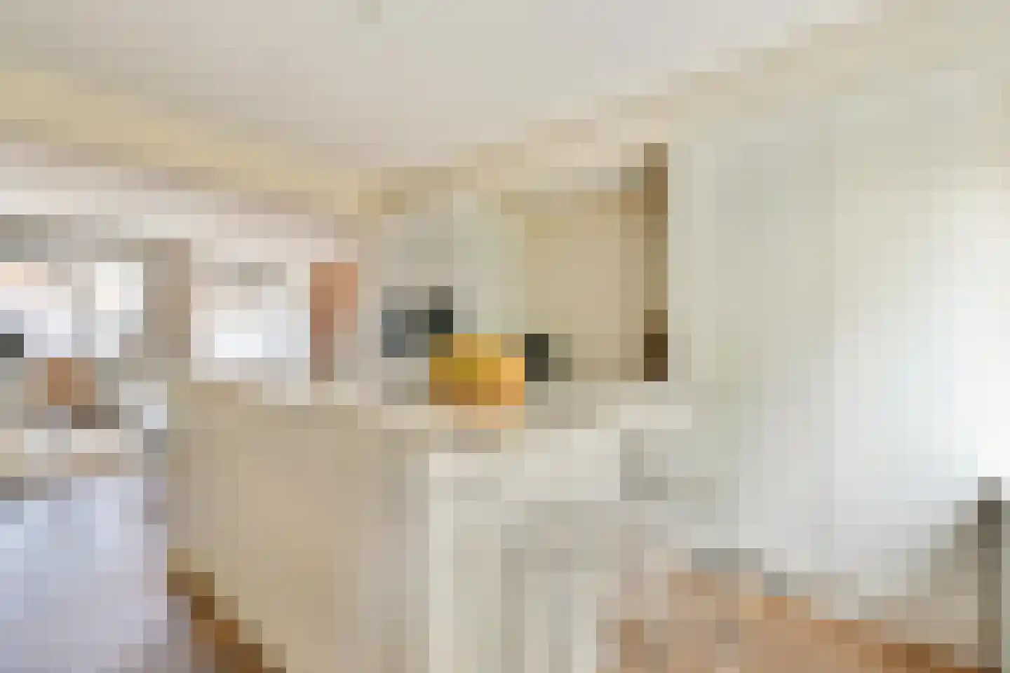 Van Speijkstraat 40 3 Amsterdam thumbnail 11